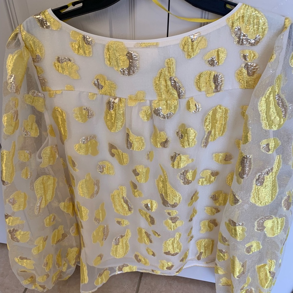 Maeve (by Anthropologie) fancy top size 12